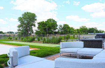 Rooftop greenery